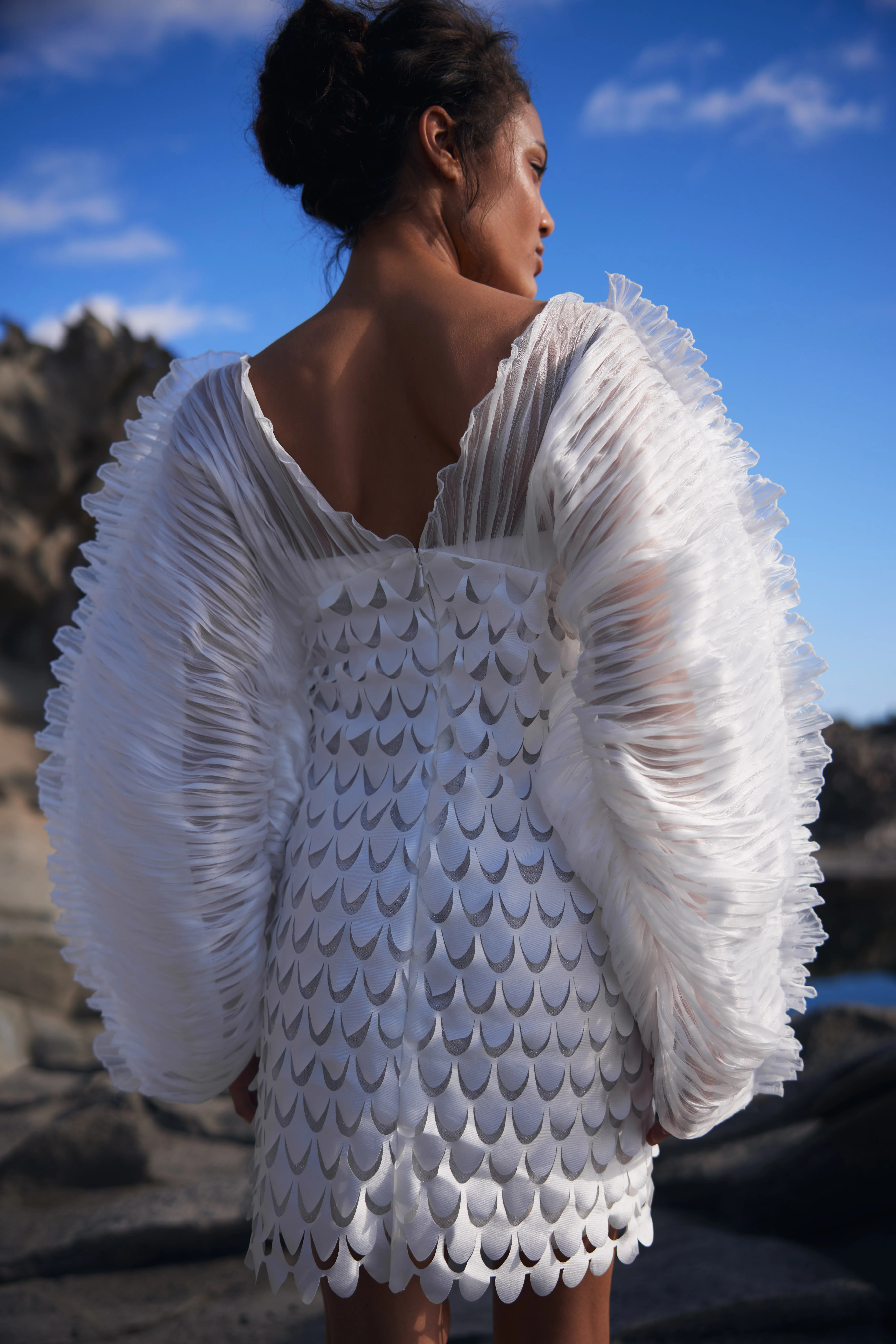 Coral Dream