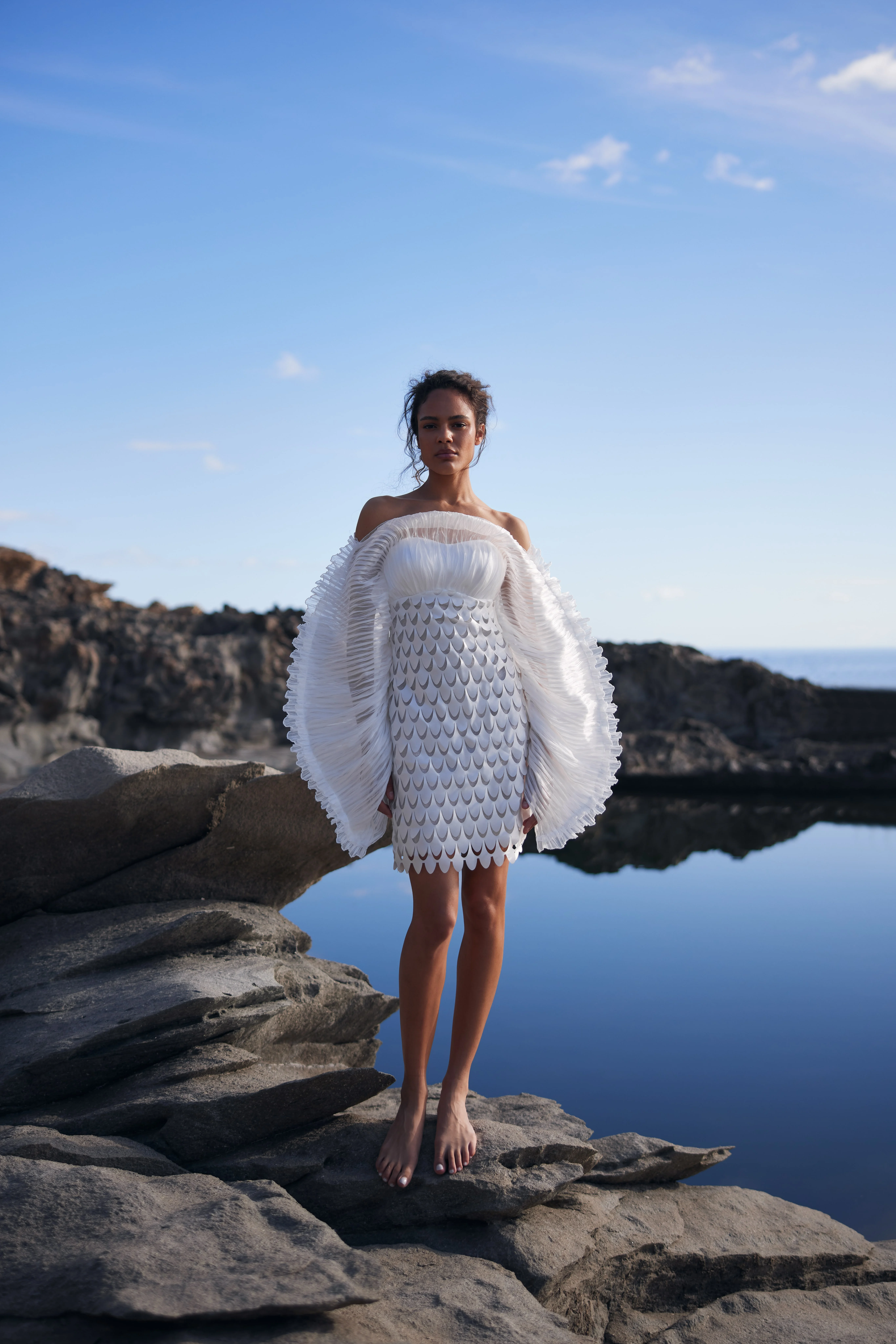 Coral Dream