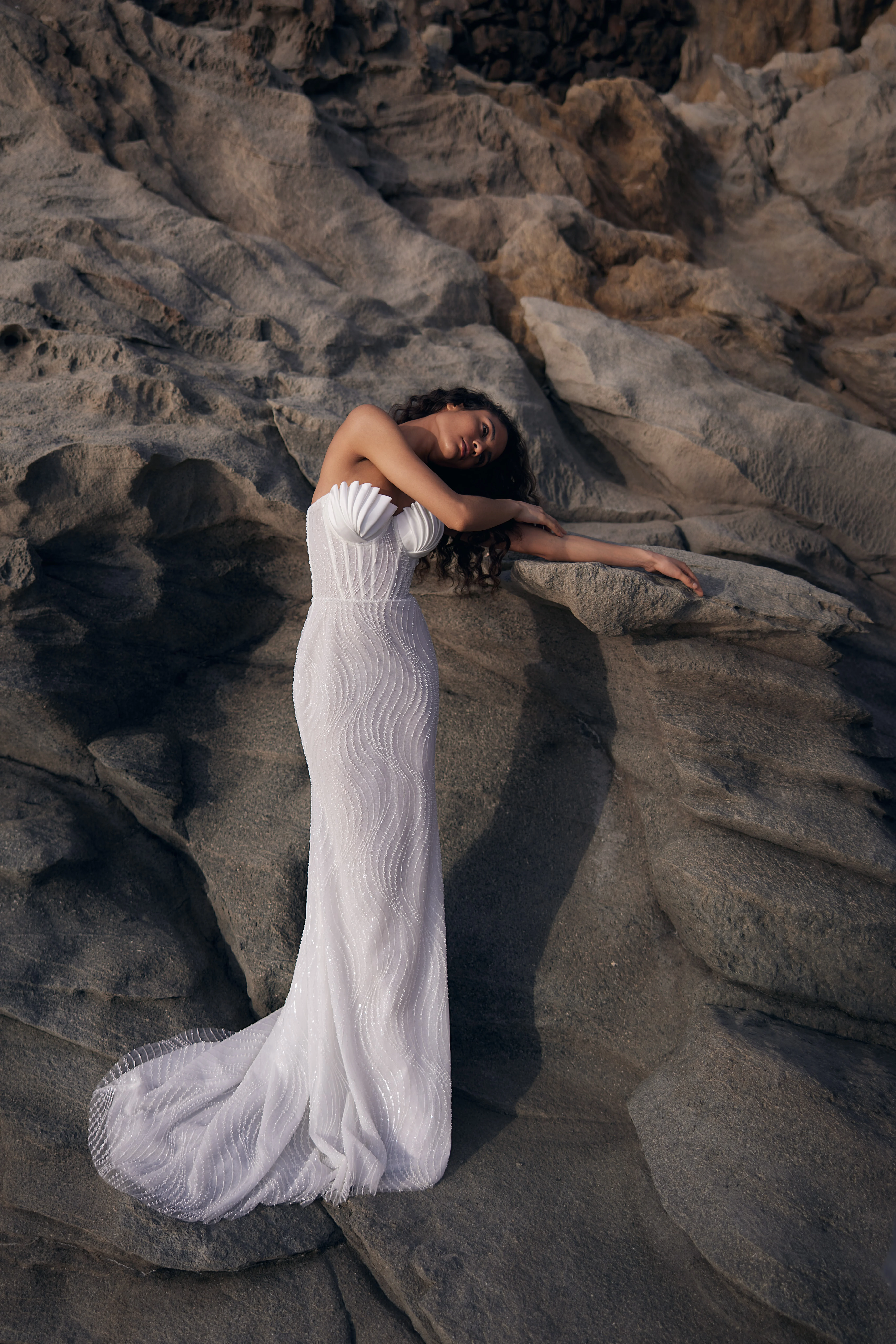 Mermaid Dream