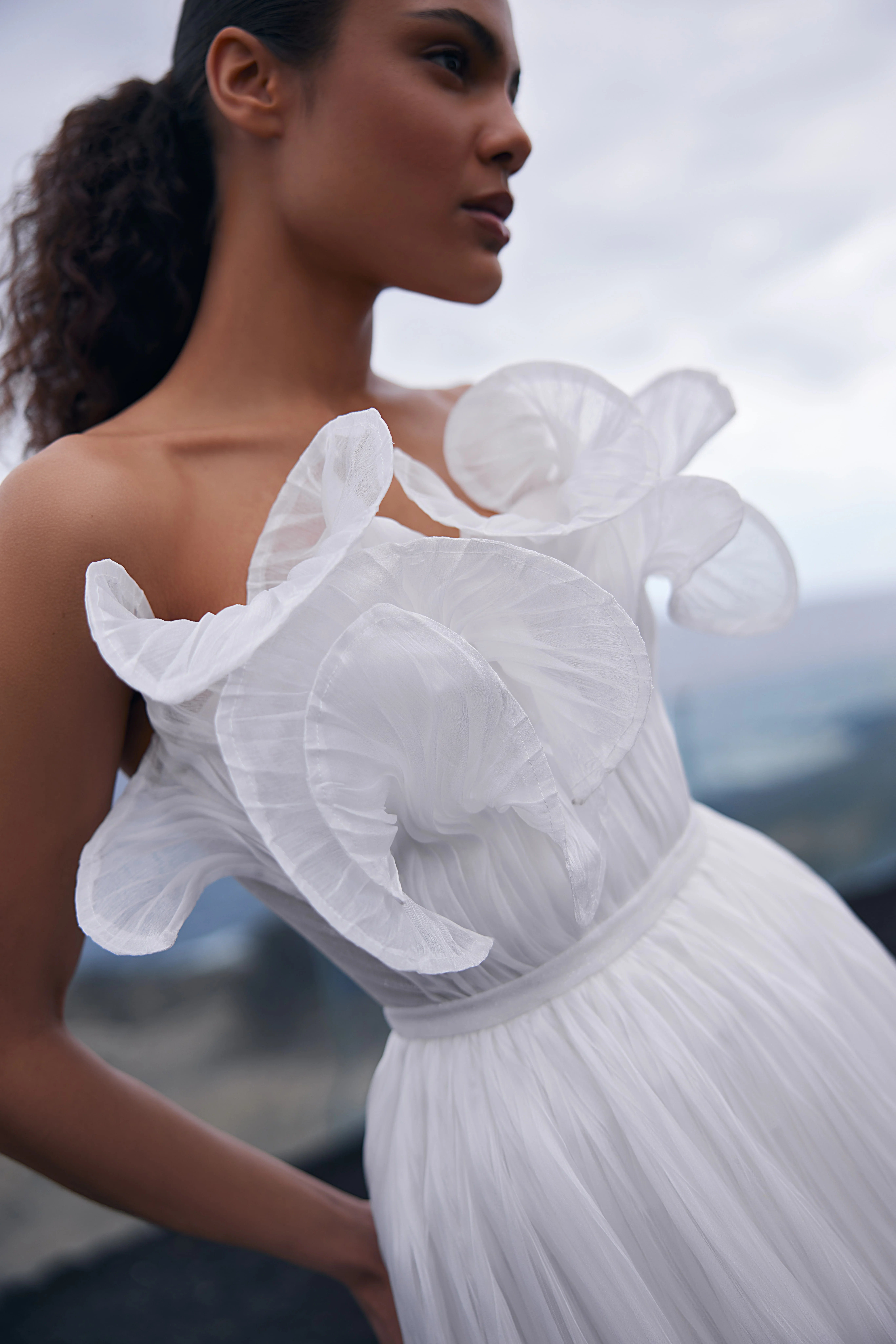 Coral Veil